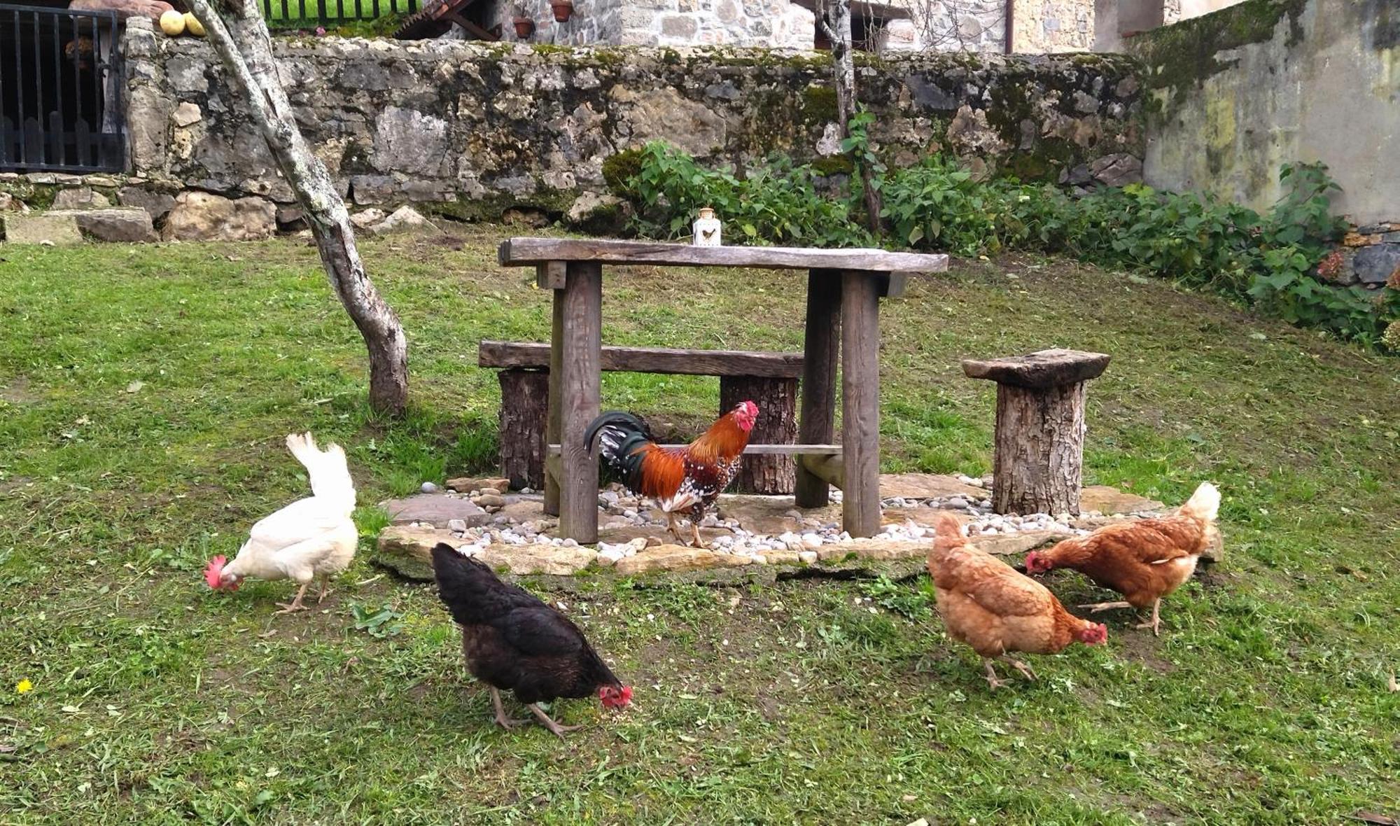 Casa Rural El Cotu En Onís Eksteriør bilde